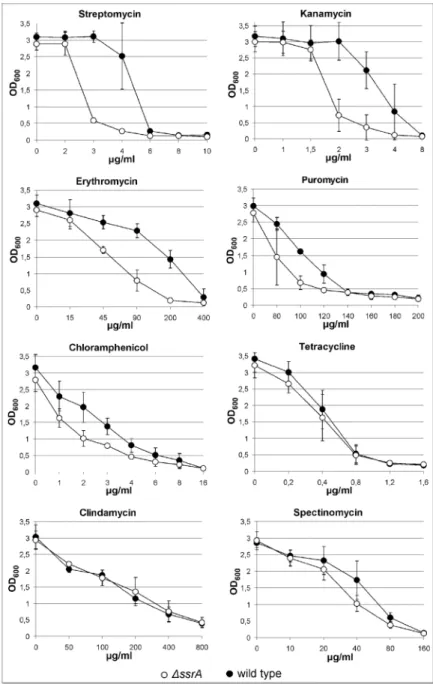 Figure 1. Growth inhibition of ∆ssrA and wild type strains with inhibitors of protein syhthesis