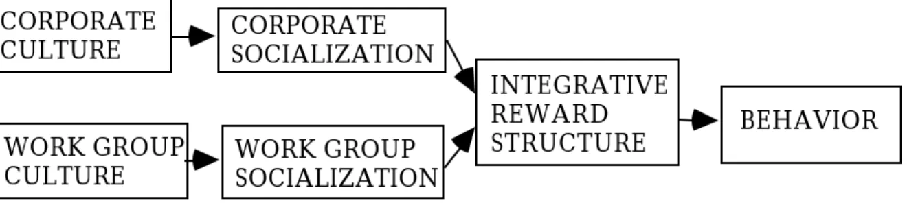 FIGURE 2:  Revised model of culture, socialization and behavior