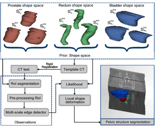 Figure 2. Proposed method for 3D segmentation. First, a shape space organs is built (PCA).