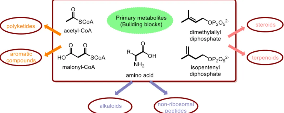 Figure I-2 Origins of some natural products