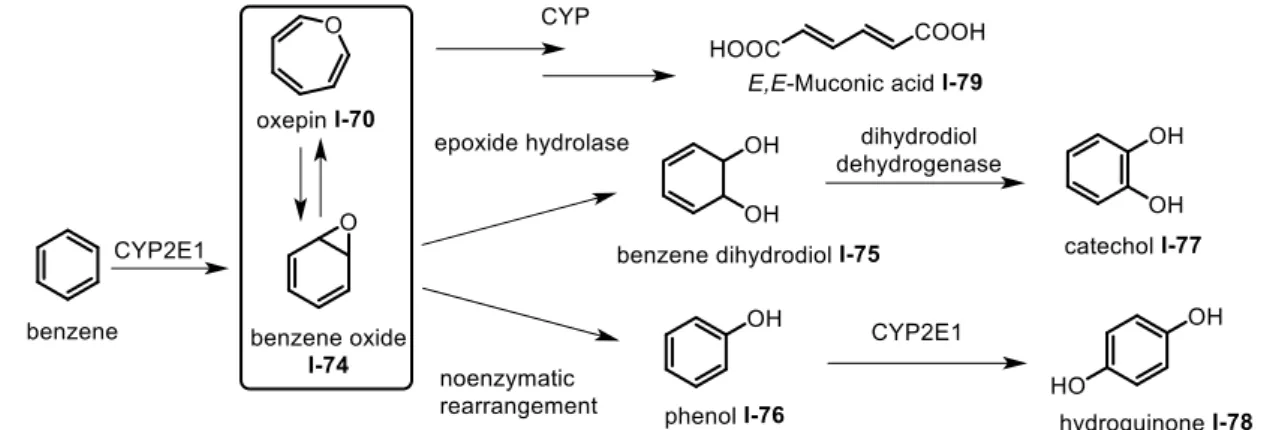 Figure I-7‘Oxepines’ defined according to the level of saturation 