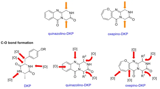 Figure I-10 Late-stage functionalizations of interest in this projet 