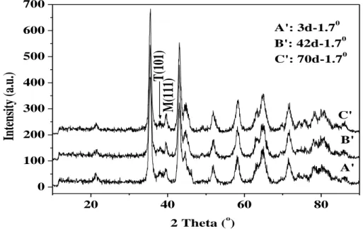 Fig. 6-5 Grazing angle XRD spectrum of oxide film surfaces of NZ2 alloy  exposed to 400 o C steam for different times 