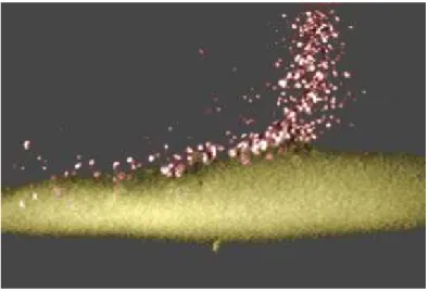 Figure I.10: Image de l’injection de particules dans un jet plasma d’arc soufflé 