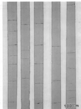 Figure I.35: Microstructures montrant des fissures dans le revêtement  SiC/Ti-24Al-11Nb 