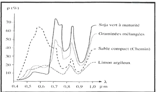 Fig. 02:  Variation de la réflectance en fonction de la longueur d' onde (Bonn et Rochon, 1993)