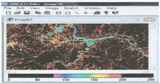 Fig. 12:  Image NDVI couleur. 