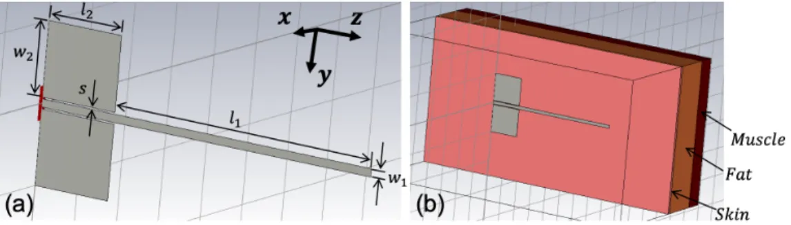 Figure 1.12: Coplanar monopole antenna at 2.4 GHz (a) in free space model and (b) with lossy human body model