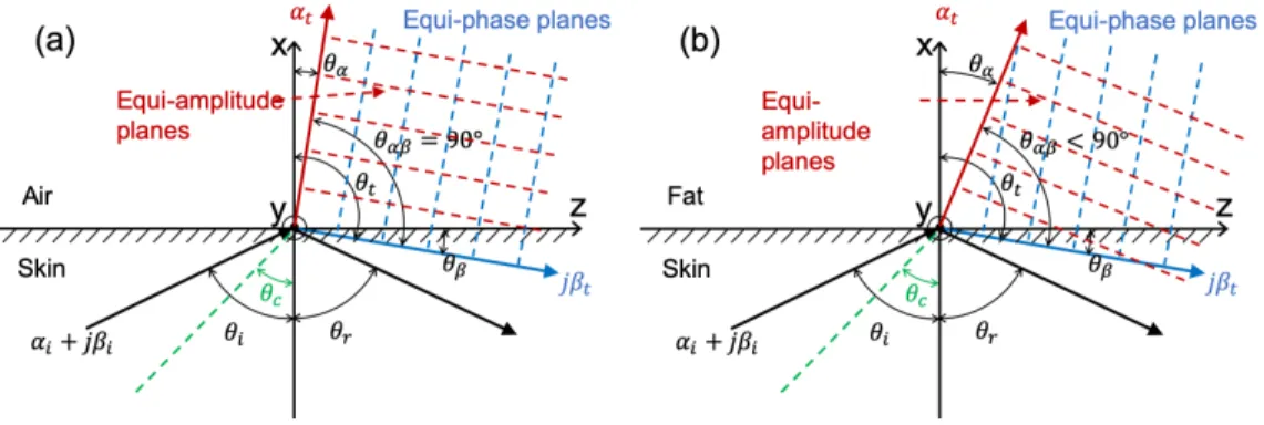 Figure 2.6: Oblique wave projected with an incident angle greater than the critical angle (a) from skin (lossy) to air (lossless) (b) from skin (lossy) to fat (lossy)