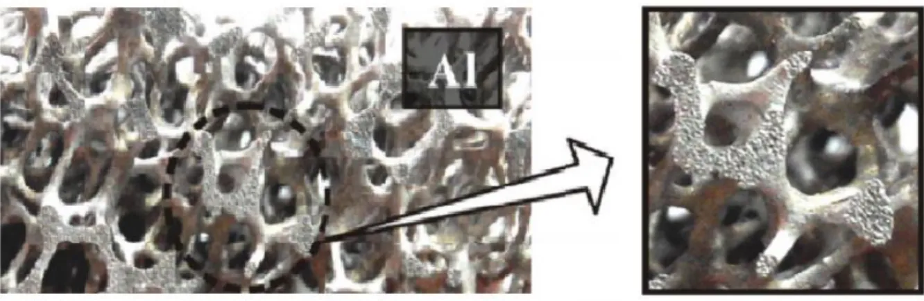 Figure 1.6 metal foam produced by investment casting method(Yang et al., 2016b)  Depot of metal by vapor in the cellular preform 