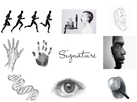 Figure 1.1: Examples of commonly used biometric traits