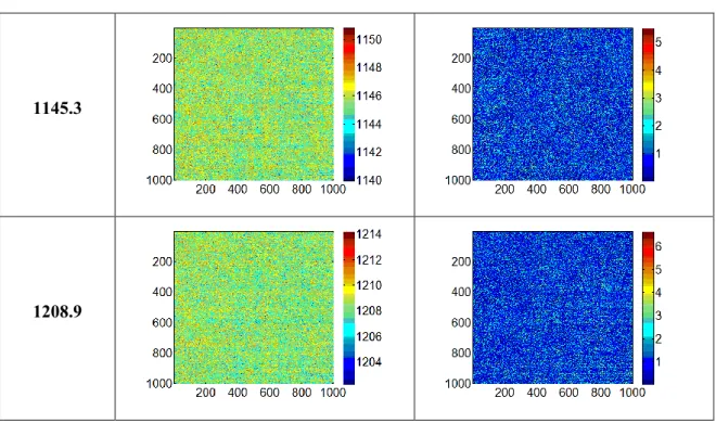 Fig. 3.1 Reconstructed thermals field and error fields from recorded images with mean gray level  conservation (Planck’s algorithm)