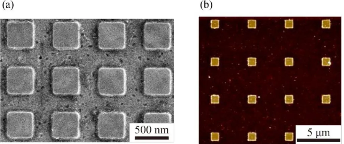 Figure 10  The profile of a nanodot array. (a) SEM image of 400 nm nanodots (b) AFM  image of 1 µm nanodots 