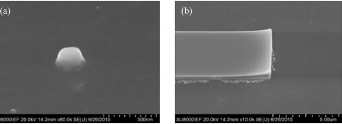 Figure 19  A good profile of the metallic hard mask (Pt and Ta) nanopillar is shown in (a)