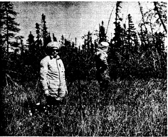 FIG. 90 - FLOATING BOG - ROD RESTING ON CLAY 6 FT. FROM SURFACE