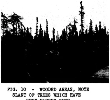 FIG. 10 - WOODED AREAS. NOTE SLANT OF TREES WHICH HAVE