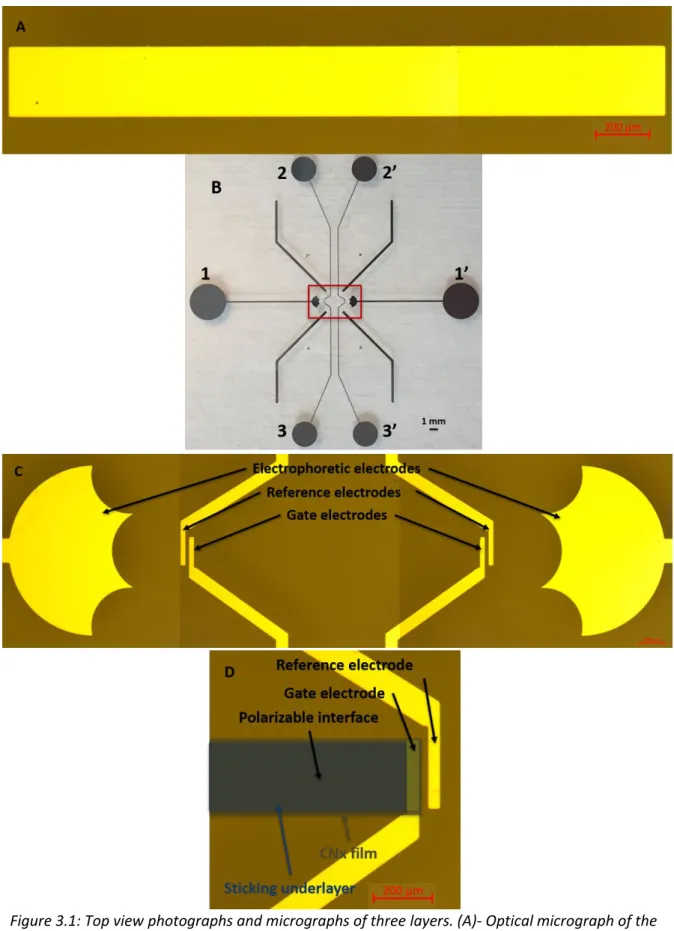 Figure 3.1: Top view photographs and micrographs of three layers. (A)- Optical micrograph of the  sticking underlayer