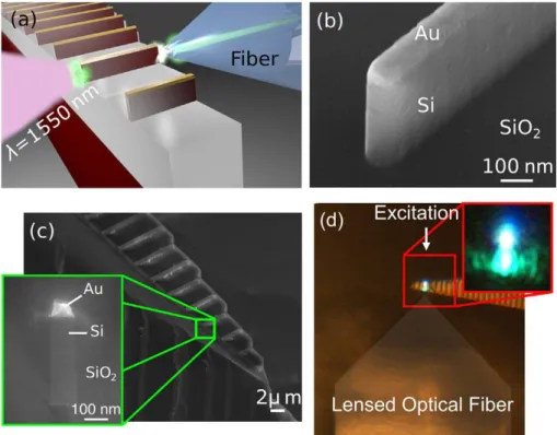 Fig. 1.9 Efficient third harmonic generation in a silicon-based nanoplasmonic waveguide