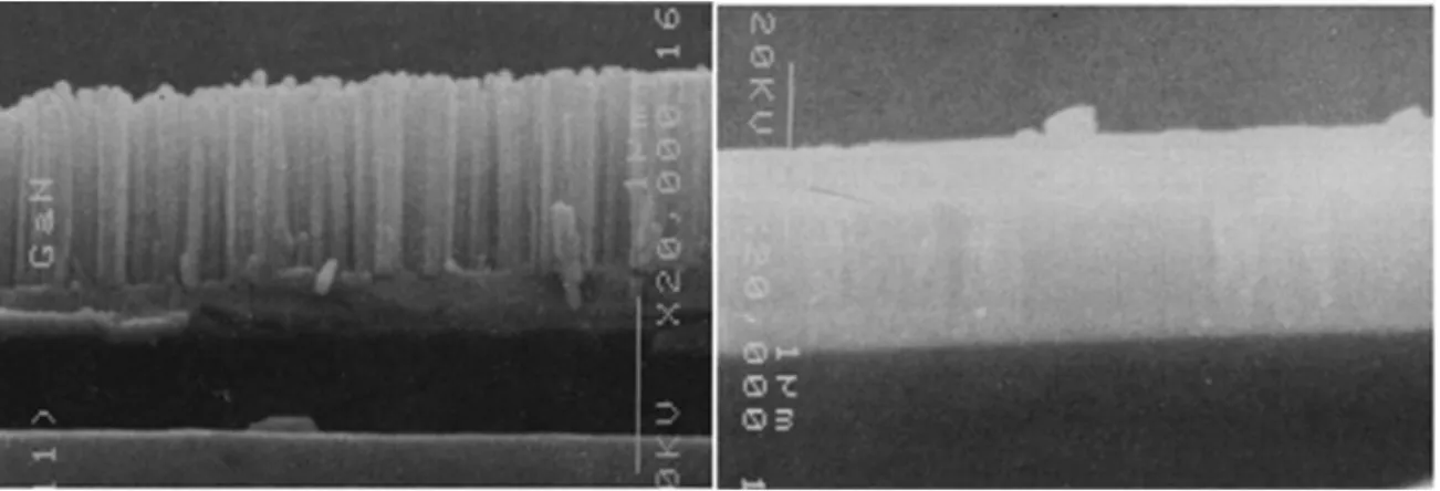 Figure 1.13 The SEM image of GaN nanowires grown by MBE on a patterned Ti mask [44] .  Figure  1.12  SEM  micrographs  of  two  GaN  layers  grown  directly  on  Si  (111)  substrates  under different flux conditions: (a) N-rich and (b) Ga-rich[43]
