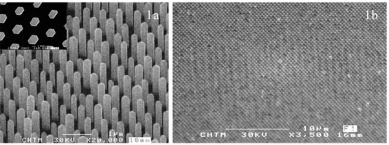 Figure  1.15  Scanning  electron  micrograph  of  a  GaN  nanorod  array  consisting  of  1  μm  GaN  nanorods (The inset shows a top view and reveals the hexagonal symmetry of the nanorods)