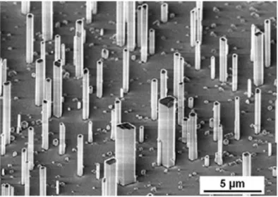 Figure 1.18 SEM image of self-assembled GaN nanowires grown on c-plane sapphire [49]
