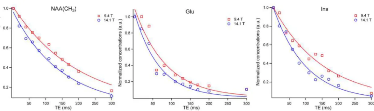 Fig. 2. Plots of the normalized apparent concentration as a function of TE of the NAA  singlet, myo-inositol and glutamate at 14.1 T  (circles)  and 9.4  T  (squares)