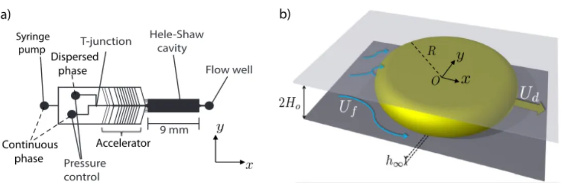 FIG. 1. (a) Design of the microfluidic chip: droplets/bubbles are generated at the T-junction and flow towards the Hele-Shaw cavity