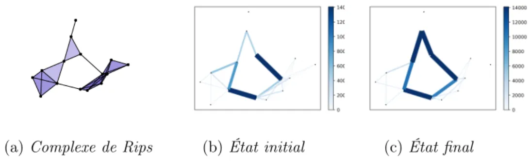 Figure 0.2: Marche aléatoire sur un complexe de Rips dont l’état initial est inconnu Sans connaître l’état initial, il semble que nous ne puissions obtenir les limites des trous que de manière approximative.