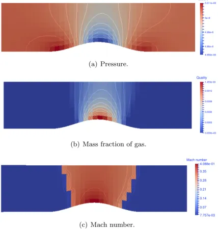 Figure 3.24 – Numerical results for two-phase flow in a channel with bump.