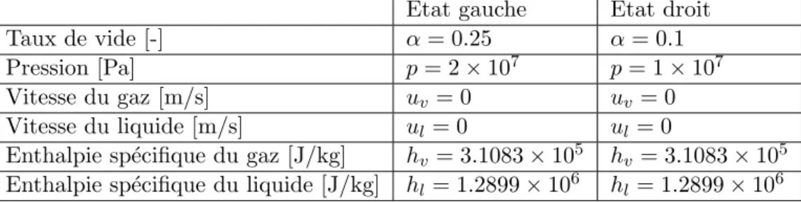 Table 4.2 – Conditions initiales pour le cas test tube ` a choc diphasique.