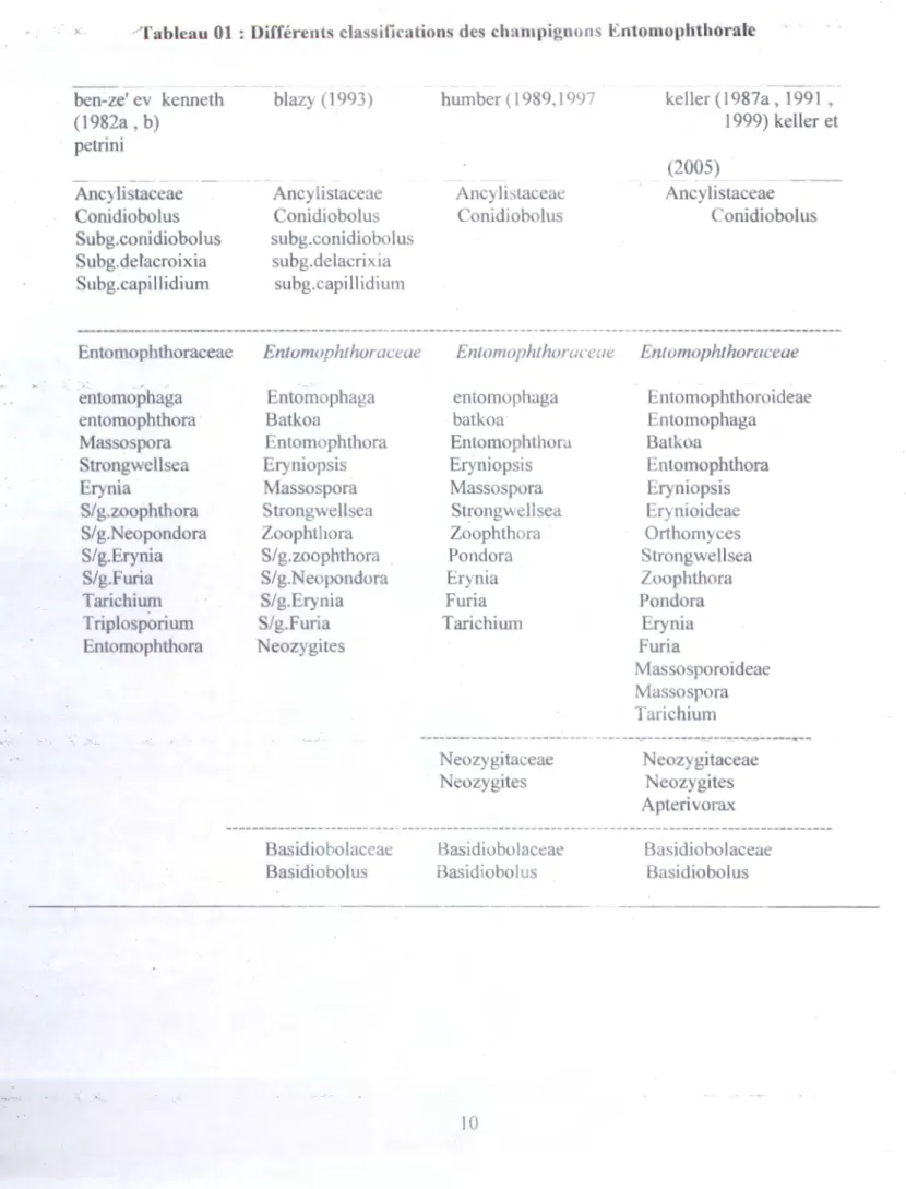 Tableau 01  : Différents classifications des champigno ns  Entomophthoralc 