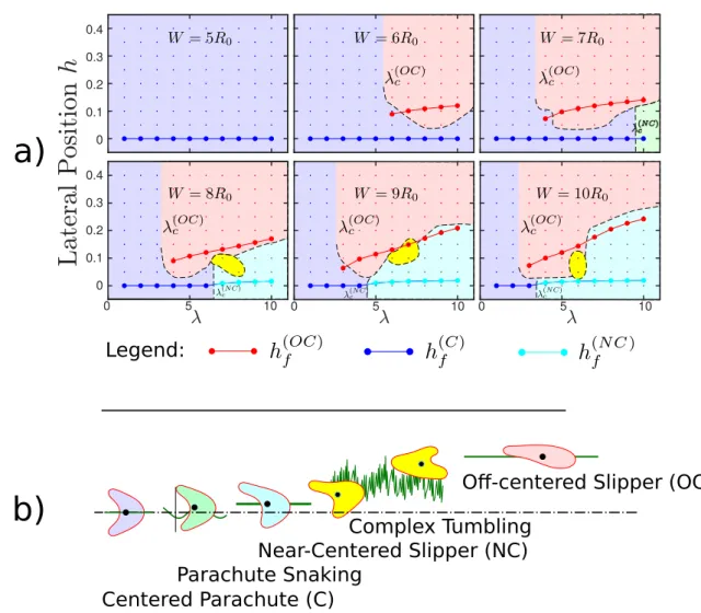Figure 2.4: (a)Evolution of final positions and final shape diagram against channel width (Confinement)
