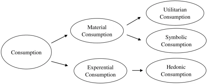 FIGURE 4. Different Kinds of Consumption 