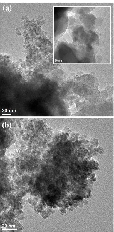 Figure 3.2 Morphologies of ZnO nanohybrids doped with different elements at 0.1 %. (a) Cu(II) doping