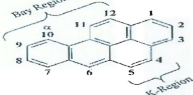 Figure 1.  Structure moléculaire du benzo(a)pyrène (Miller et al. , 2001) 