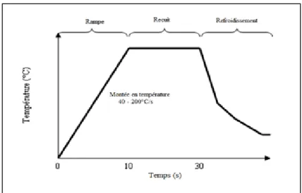 Figure I.6: Evolution de la température d’un substrat dans un procédé  thermique rapide [25]