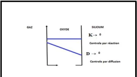 Figure II.3 :  Contrôle par diffusion et Contrôle par réaction 