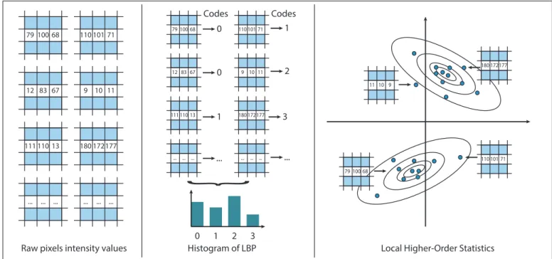 Figure 1: Illustration of the proposed Local Higher-order Statistics (LHS) representation