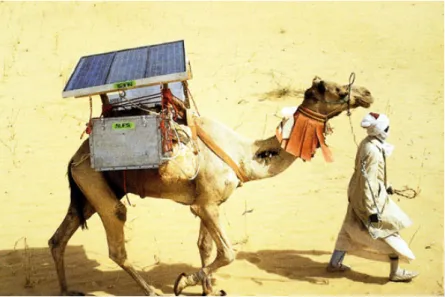 Figure 1.13: The Camel Fridge project to deliver medicines to the remote villages in Africa (Photo from http://inhabitat.com/)