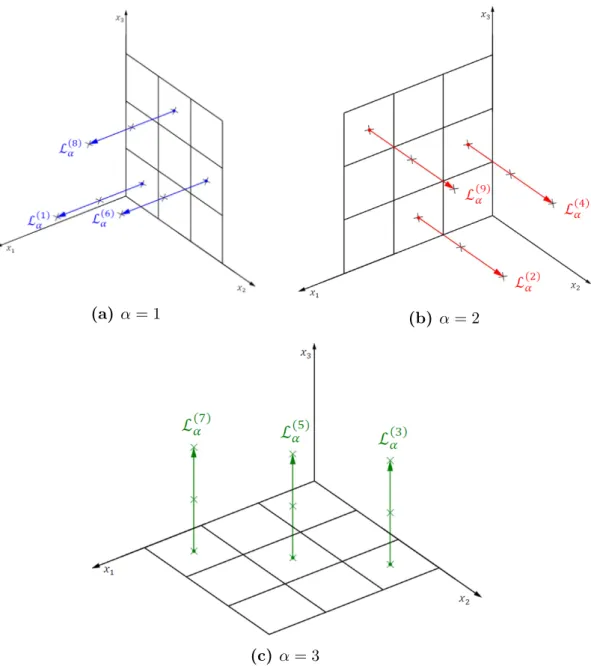 Figure 2.4 – Exemples de rangées de lignes (a) L (1) 1 , L (2) 1 , L (3) 1 (en bleu, pour α = 1 dans la direction x 1 ), (b) L (1) 2 , L (2)2 , L (3)2 (en rouge, pour α = 2 dans la direction x 2 ) et (c) L (1) 3 , L (2)3 , L (3)3 (en vert, pour α = 3 dans 