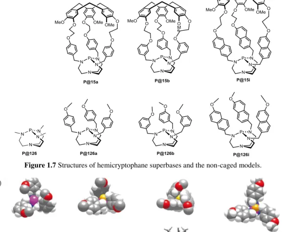 Figure 1.7 Structures of hemicryptophane superbases and the non-caged models. 