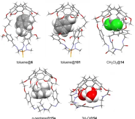 Figure 1.10 Crystal structures of toluene@6, toluene @101, 3H 2 O@54, n-pentane@15a and  CH 2 Cl 2 @14