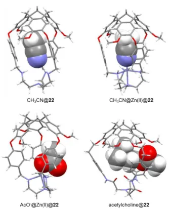 Figure 1.11 Crystal structures of CH 3 CN@22, CH 3 CN@Zn(II)@22, AcO - @Zn(II)@22 and  acetylcholine@22