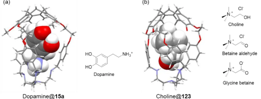 Figure 1.14 (a) DFT optimized structure of dopamine@15a, and the structure of dopamine