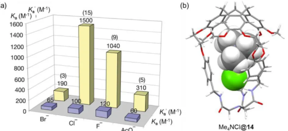 Figure 1.16 (a) Anion binding constants of hemicryptophane 14 in the absence or presence of 1 equiv
