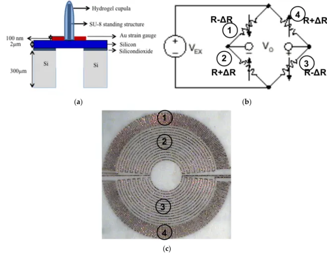 Figure 2. Artificial MEMS neuromast sensor structure and design: (a) Schematic showing the sensor  structure; (b) Circuit diagram that describes the full-bridge connection of the resistors on the  membrane; (c) An optical image of the fabricated sensor sho