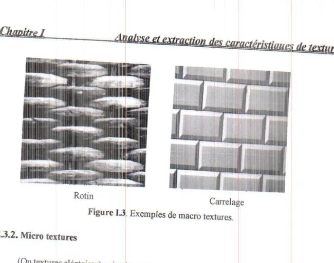 Figure  1..r.  Ex€mples  de  macro 