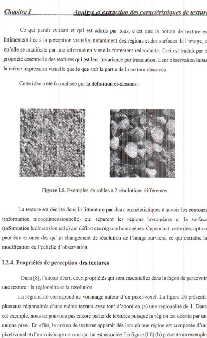 Figure  1.5.  Exemplils  de sables  à  2  résolùtions différentes.