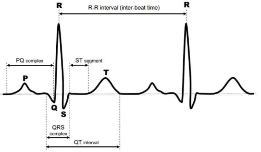 Figure 2.4: A normal electrocardiogram [108].