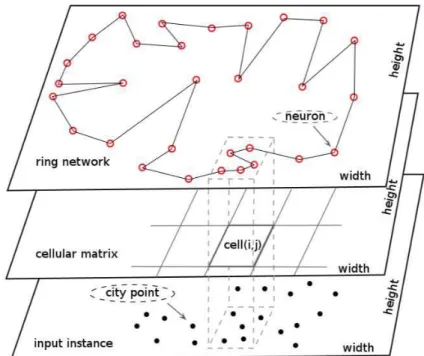 Figure 5.8: Parallel cellular model: the input cities, the cellular matrix and the ring structure, used in TSP implementation